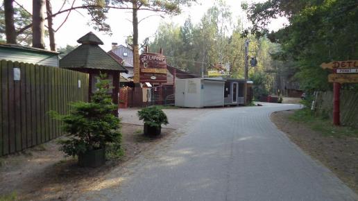 W Dębkach, Danusia