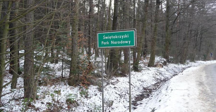 Święta Katarzyna - zdjęcie