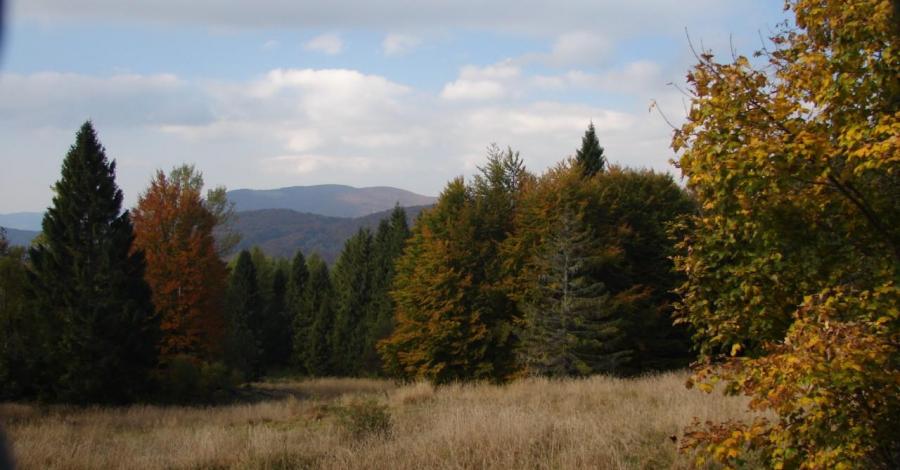 Jesienne Bieszczady na dwa razy, część II - zdjęcie