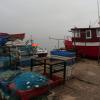, mokunka