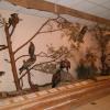 w muzeum WPN, Danusia