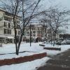 przy promenadzie, Danusia