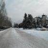 promenada, Danusia
