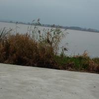, mokunka
