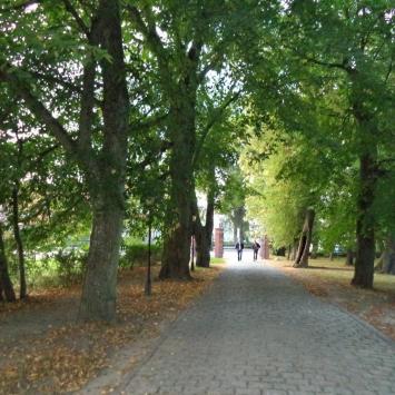 park w Krokowj, Danusia