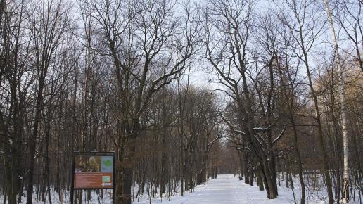 Park Repecki