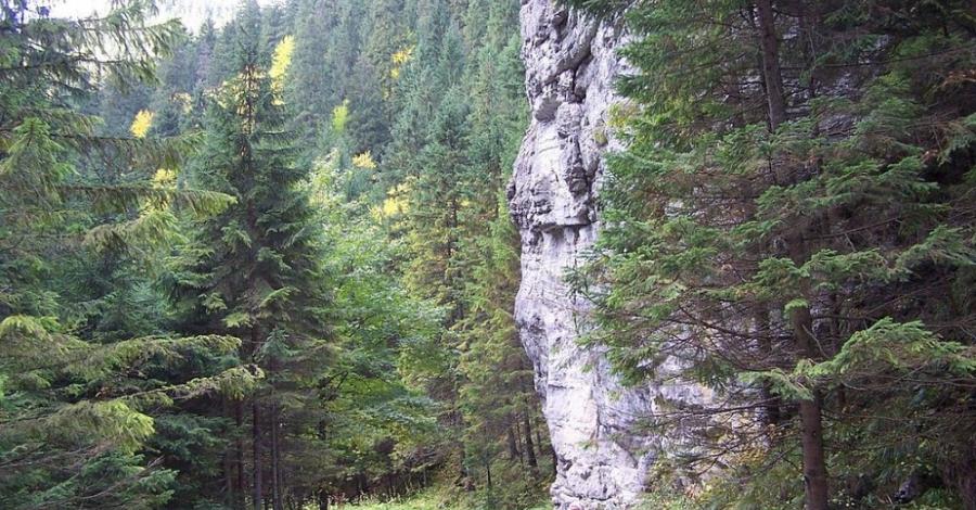 Zakopane we dwoje - zdjęcie
