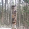 , Joanna