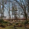 Park Nadodrzański