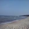 , mokunka
