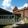 Malbork, Joanna