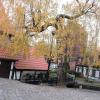 , mokunka