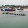 , mokunka