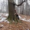 , violus