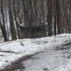 a parku, violus