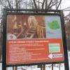 , violus