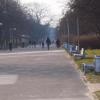 Promenada Niemena, Tadeusz Walkowicz