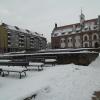 Rynek i Ratusz, Danusia