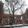 konkatedra, Danusia