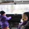 jeep z widokiem na lwa