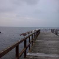 , mokunka