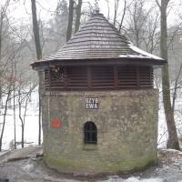szyb Ewa, violus