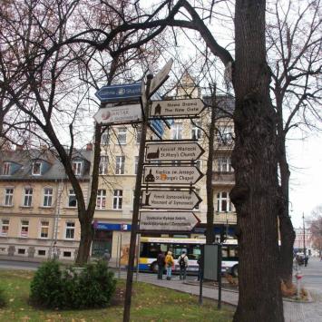 planty ta i następna fota, mokunka