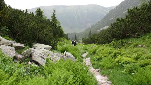 Tatry Zachodnie, Maciej A