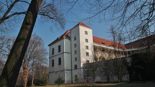 Brzeg