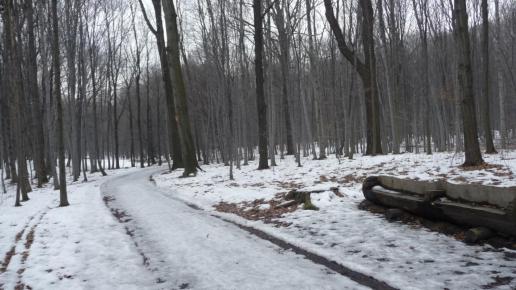 Park Repecki, violus