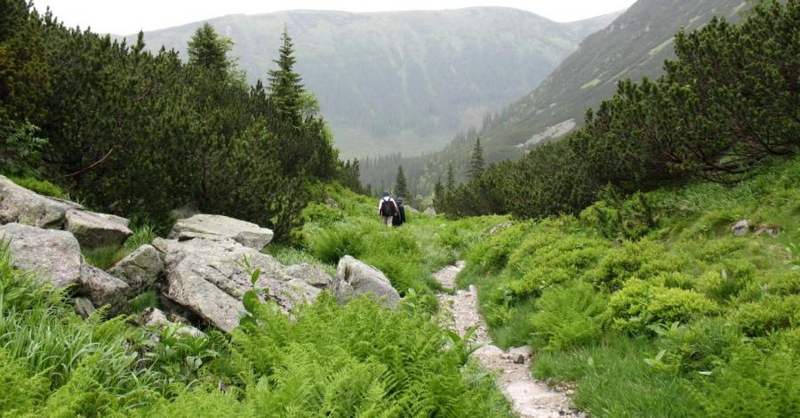Tatry Zachodnie - Dolina Rohacka, Siwy Wierch + Orawski Zamek - zdjęcie