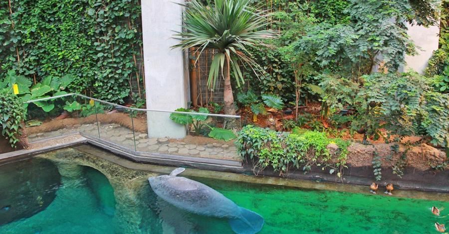 Zoo i Afrykarium - zdjęcie