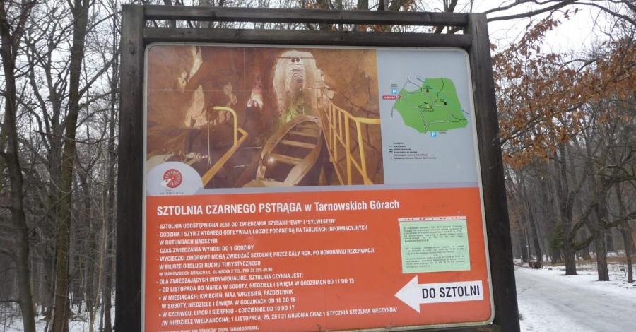 Tarnowskie Góry po raz pierwszy. - zdjęcie
