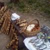 , mokunka