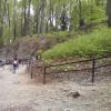 , mokunka
