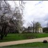 Belvedere, Marcin_Henioo