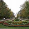 park solankowy, Danusia