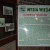 ekspozycja w wieży, Danusia