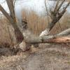 , Barsolis Karol Turysta Kulturowy