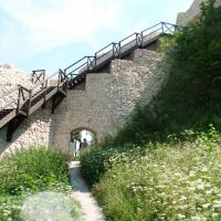, mokunka