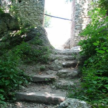 , mokunka