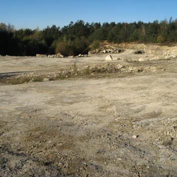 Kamieniolom w Nowym Brusnie, Doriska