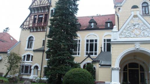 , mokunka