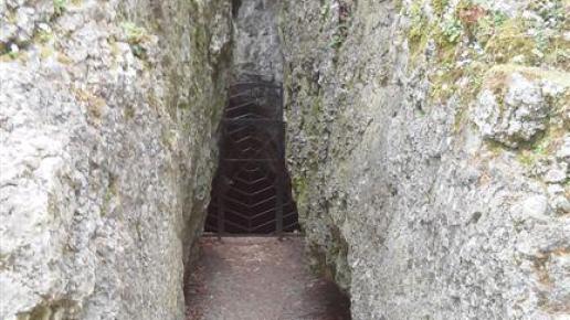 , mokunka