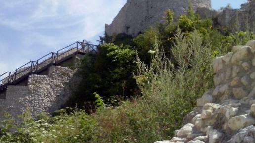 , mokunka