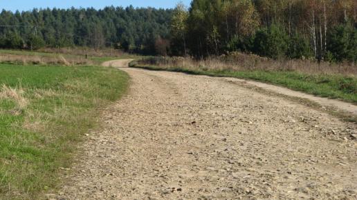 Droga do stadniny koni Polanka, Doriska