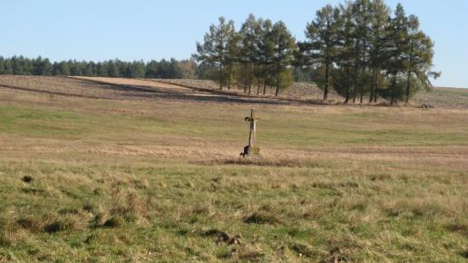 Gdzies po drodze, Doriska