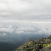 , mirosław