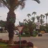 Miasto Alanya, Tadeusz Walkowicz