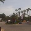 Miasto Alanya, Tadeusz Walkowicz